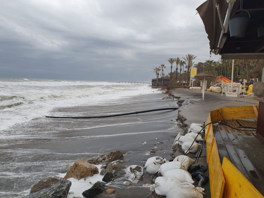 Imagen de la noticia La alcaldesa asegura que “las playas de Marbella…