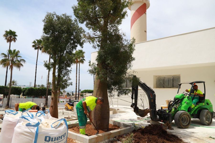 Imagen de la noticia El Ayuntamiento inicia la transformación del ento…