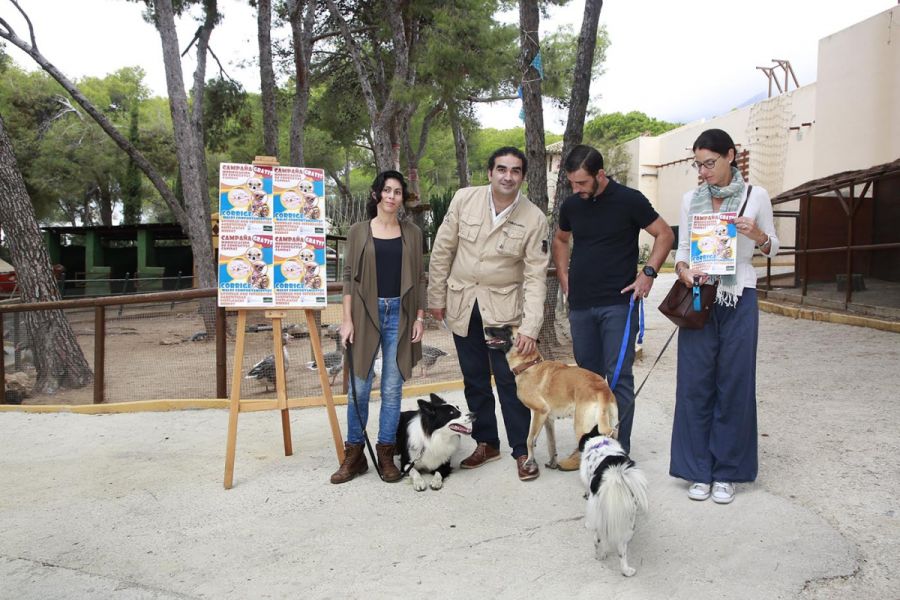 Imagen de la noticia Medio Ambiente oferta un curso gratuito de adiest…