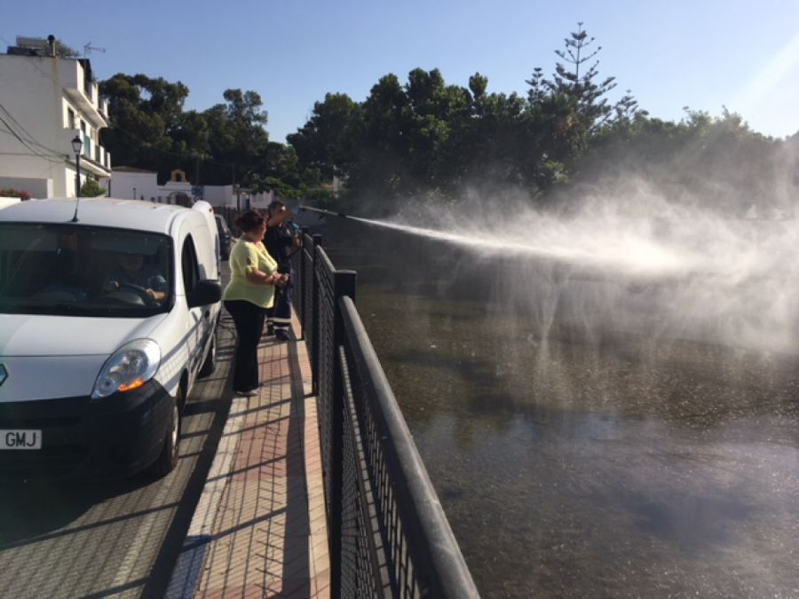 Imagen de la noticia Sanidad ha acometido el tratamiento antimosquitos…