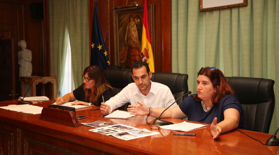 El Consejo Sectorial de Participación respalda el proyecto de videovigilancia