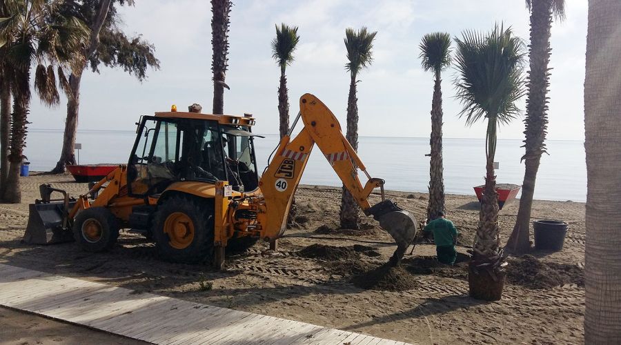 La Tenencia de Alcaldía de San Pedro Alcántara acomete trabajos de plantación de medio centenar de palmeras y eucaliptos en la playa