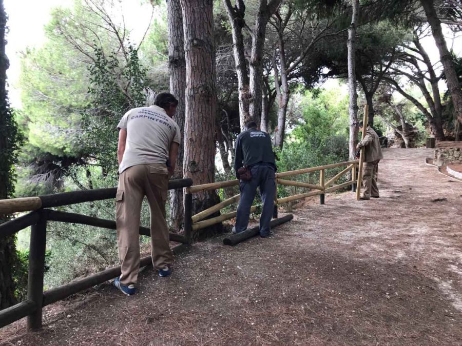 Imagen de la noticia Comienzan las actuaciones para poner en valor el…
