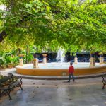 Paseo de la Alameda / The Alameda