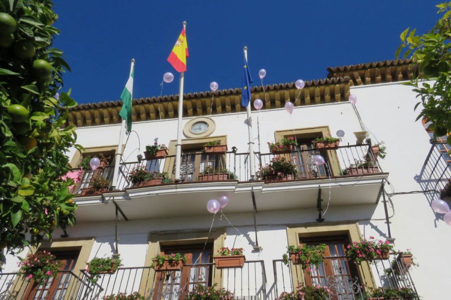 Imagen de la noticia La alcaldesa participa en un acto con motivo del…