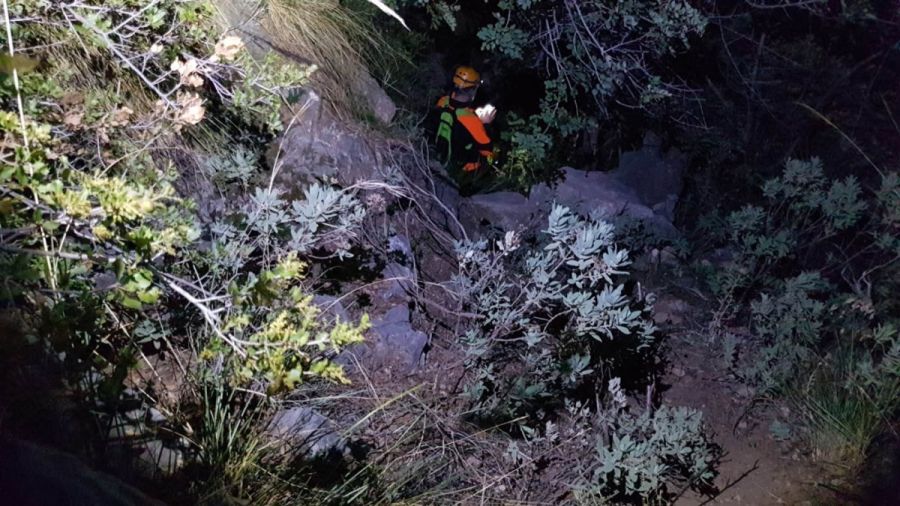 Imagen de la noticia Bomberos de Marbella y Protección Civil de Istán…