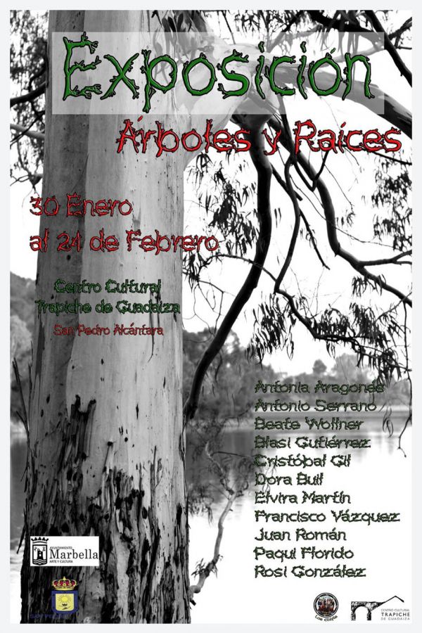 Imagen de la noticia Los alumnos del Taller de Fotografía exponen sus…
