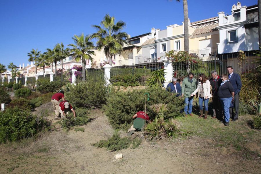 Imagen de la noticia El Ayuntamiento trasplanta a Real de Zaragoza 48…