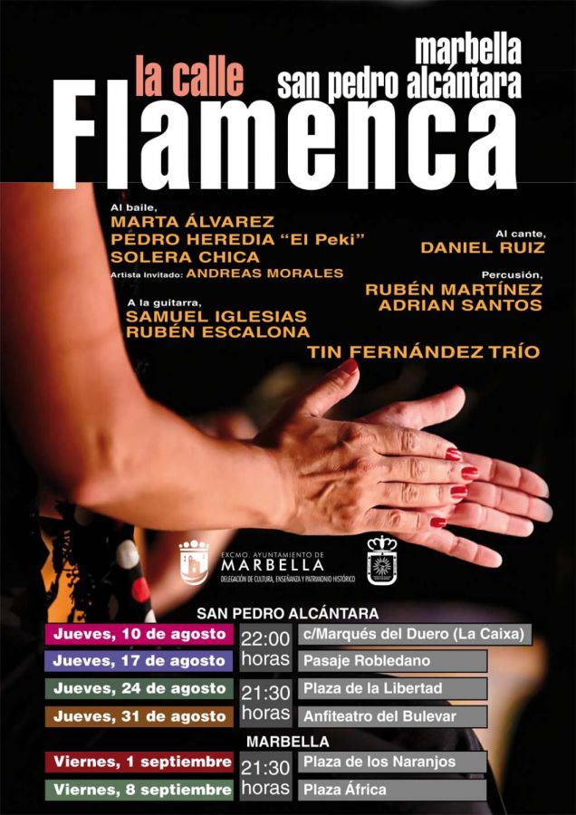 Imagen de la noticia Un ciclo llevará el flamenco a diferentes calles…