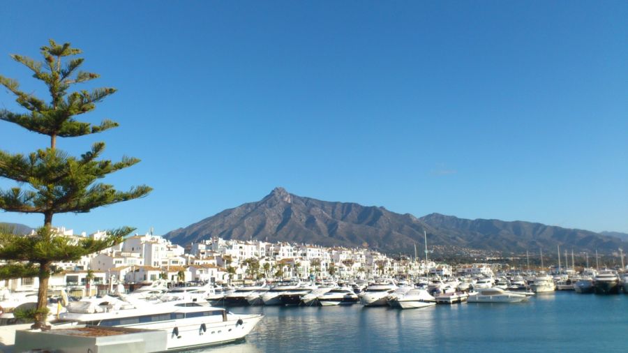 Imagen de la noticia Marbella se convierte en nuevo miembro de la Fede…
