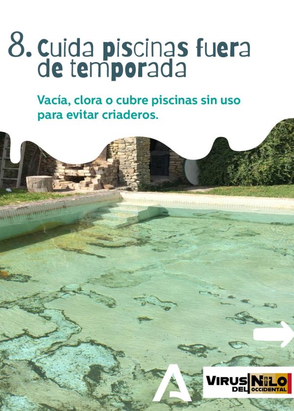 Cuida piscinas fuera de temporada