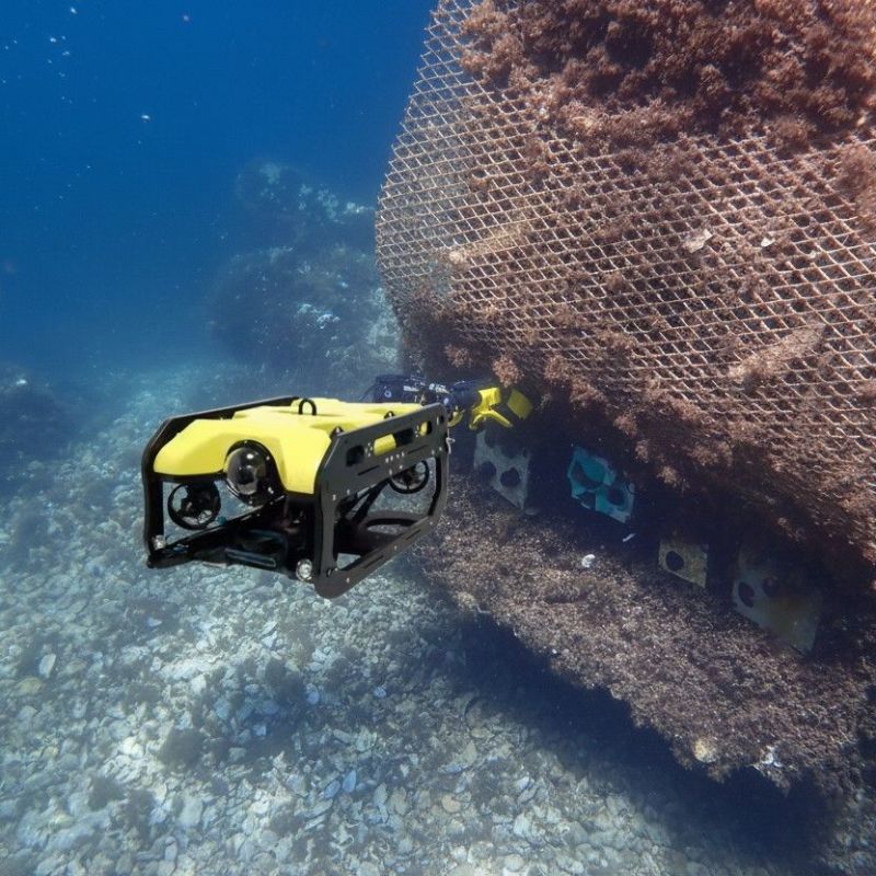 El Puerto Deportivo de Marbella instala seis microarrecifes inspirados en la naturaleza para impulsar la renaturalización de la biodiversidad marina