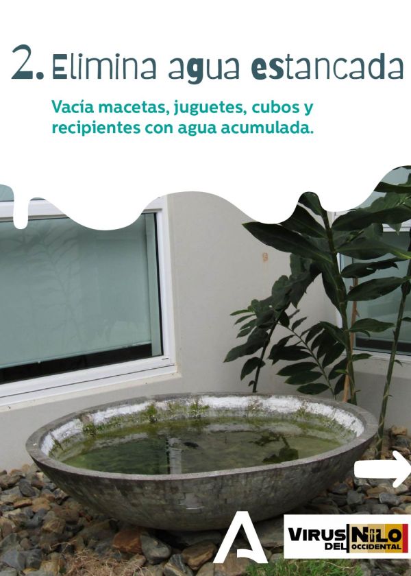 Elimina agua estancada