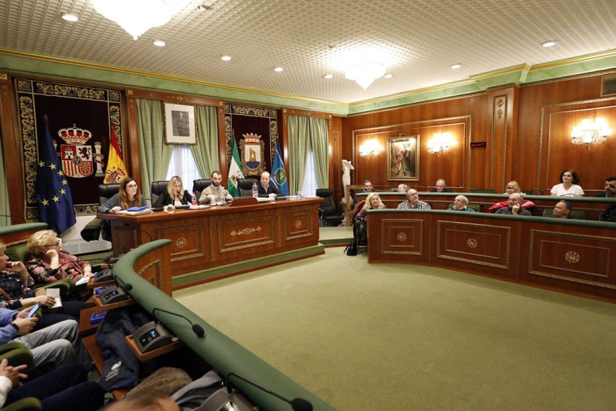 Imagen de la noticia El Consejo Sectorial de Participación Ciudadana c…