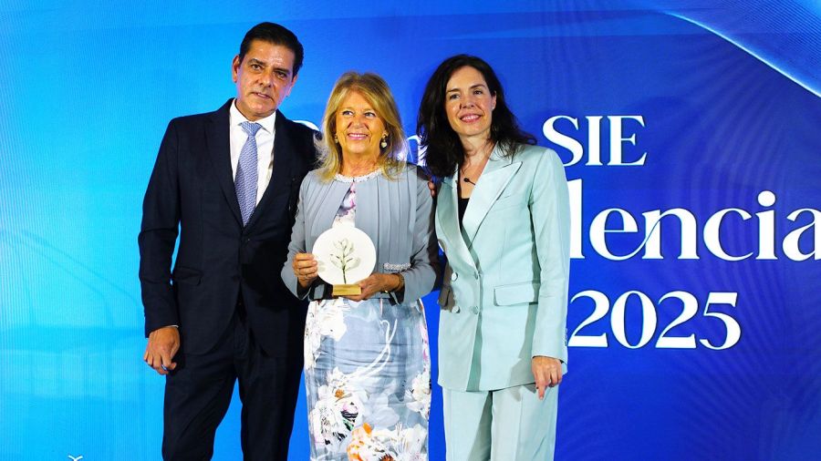 Imagen de la noticia Marbella recibe un galardón a su excelencia turís…