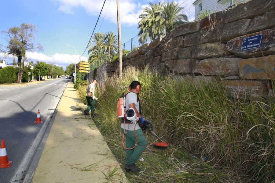 Imagen de la noticia El Ayuntamiento desbrozará 10.000 metros lineales…