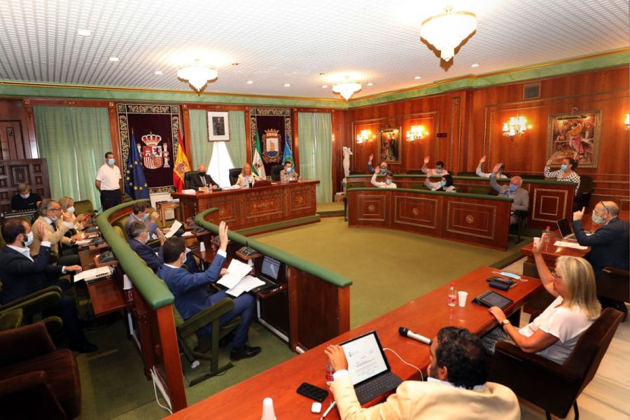 Imagen de la noticia El Pleno aprueba la transformación digital de la…