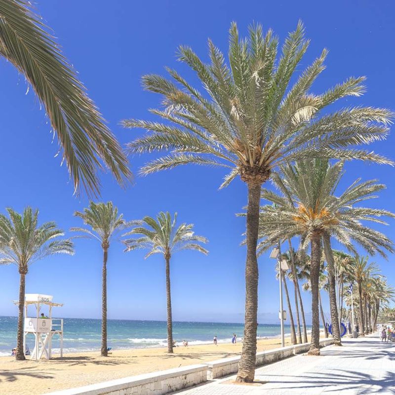 Marbella reforzará su promoción turística en mercados nacionales e internacionales con una intensa agenda de acciones hasta el verano