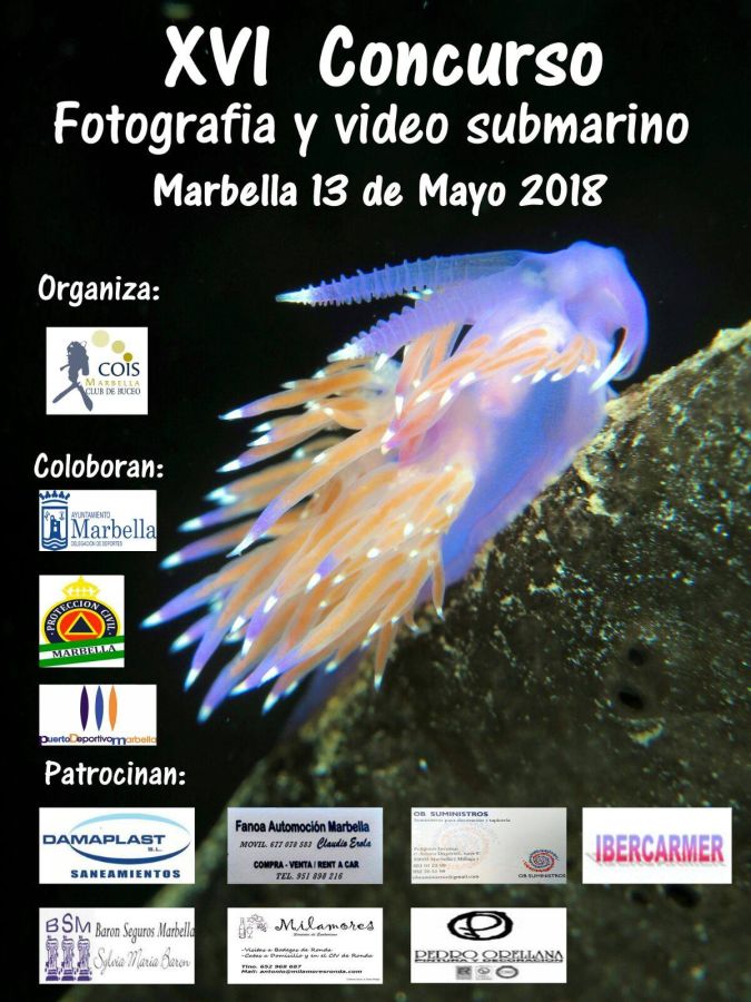 Imagen de la noticia El XVI Concurso de Fotografía y Vídeo Submarino o…