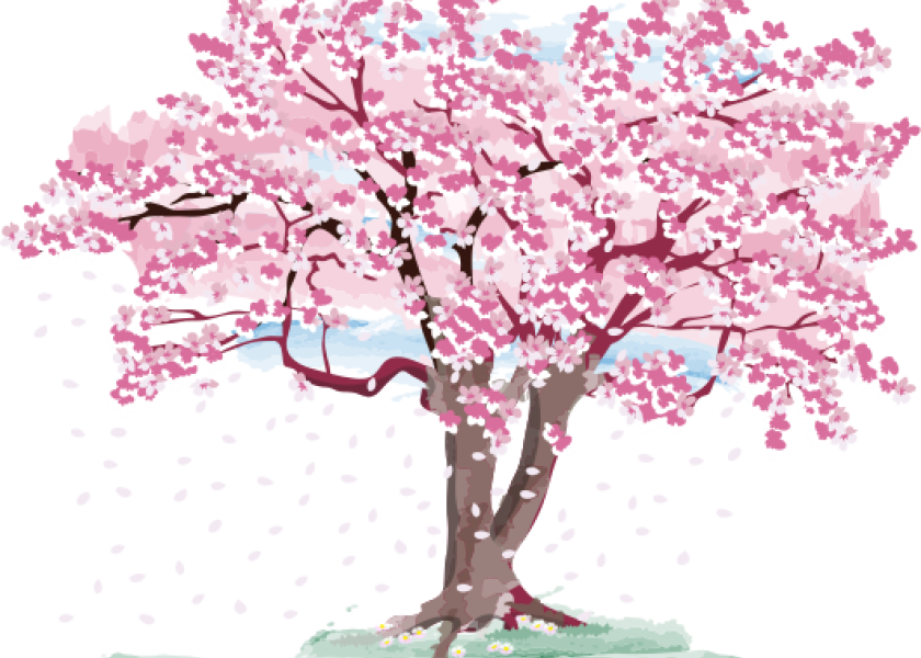 Cerezo