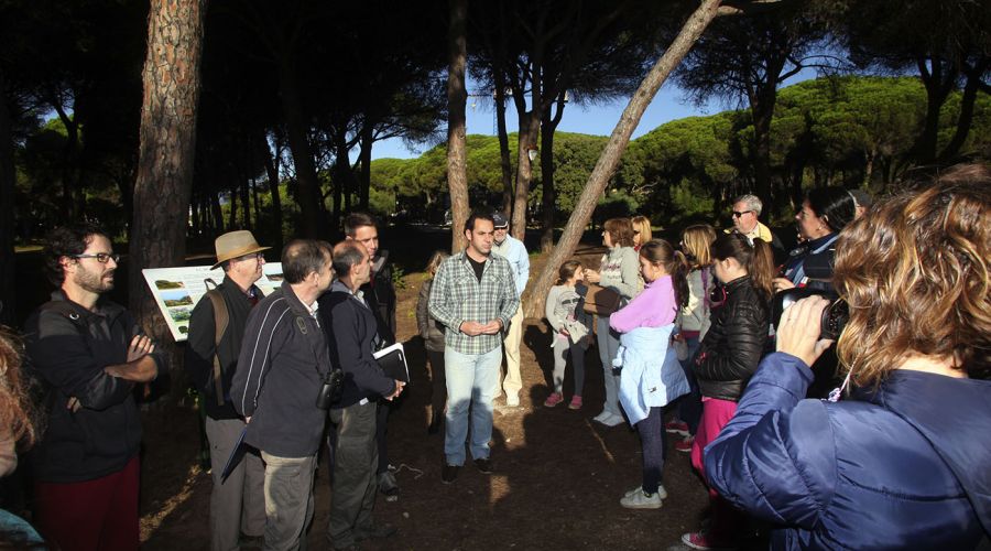 Cerca de un centenar de personas conoce la biodiversidad urbana de Las Chapas
