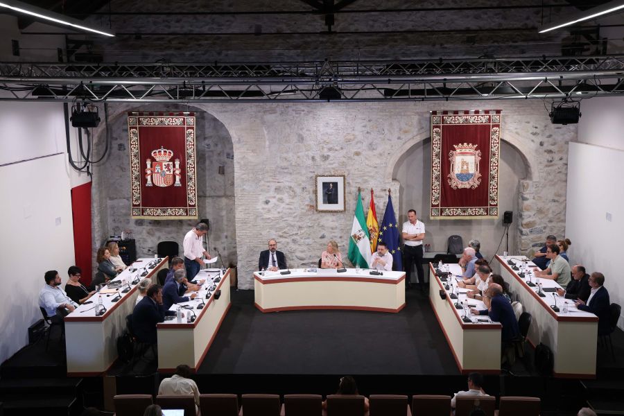 Imagen de la noticia Marbella moviliza cinco millones de euros para im…