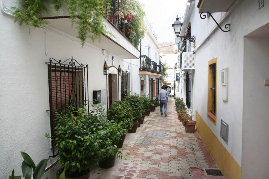 Imagen de la noticia El Ayuntamiento renovará el pavimento y mejorará…