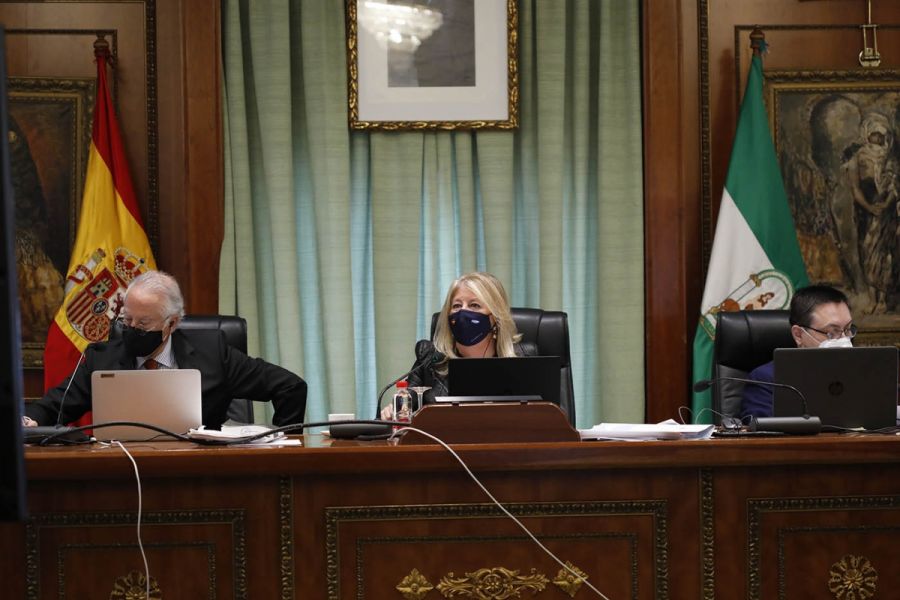 Imagen de la noticia Marbella reclama de nuevo al Gobierno central que…