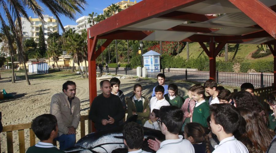 Un millar de escolares participa en la campaña Laboratorio Marino del Aula del Mar para concienciar sobre el cuidado a la flora y fauna del litoral