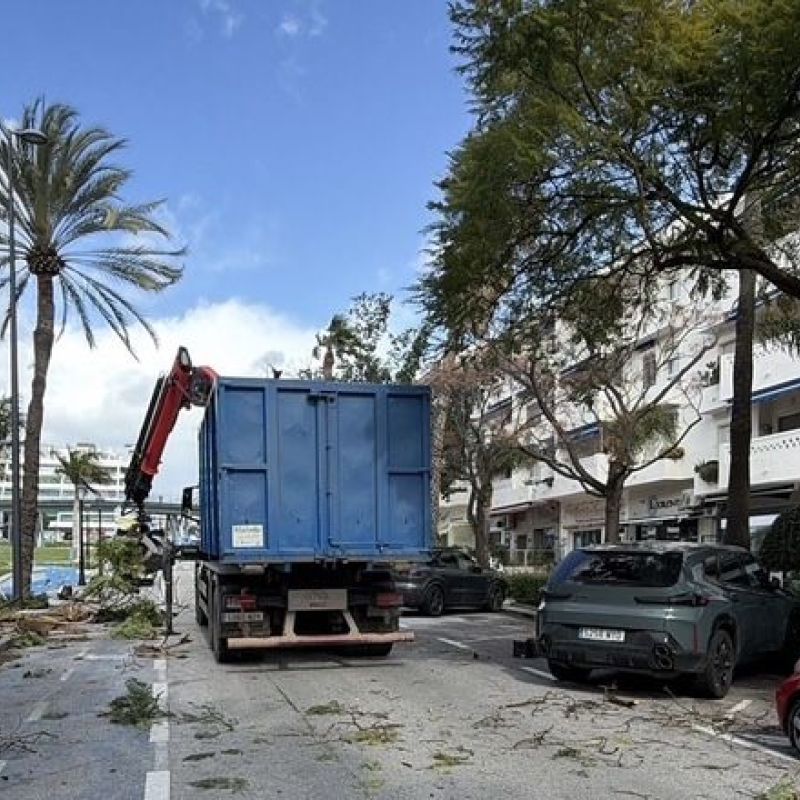 El Ayuntamiento refuerza la seguridad y la conservación del arbolado en la avenida del Mediterráneo con la intervención en más de 200 ejemplares