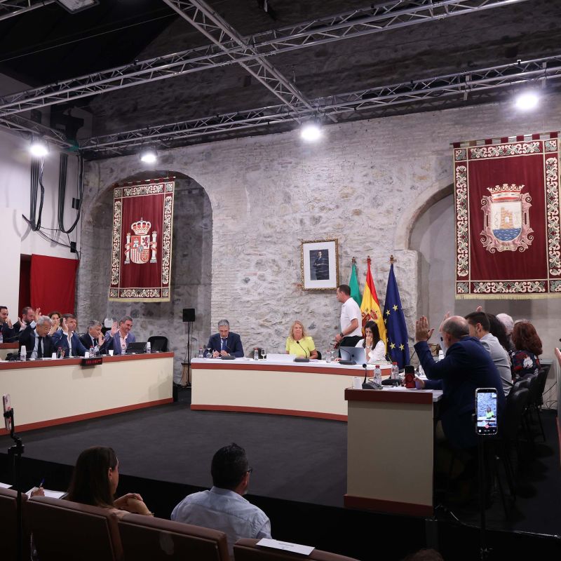 Marbella reclama al Gobierno central la mejora e integración de las pantallas acústicas de la A-7 y un plan de conservación y limpieza
