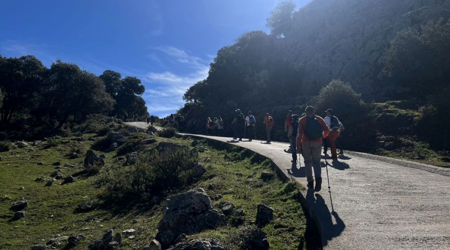 Área de Medio Ambiente