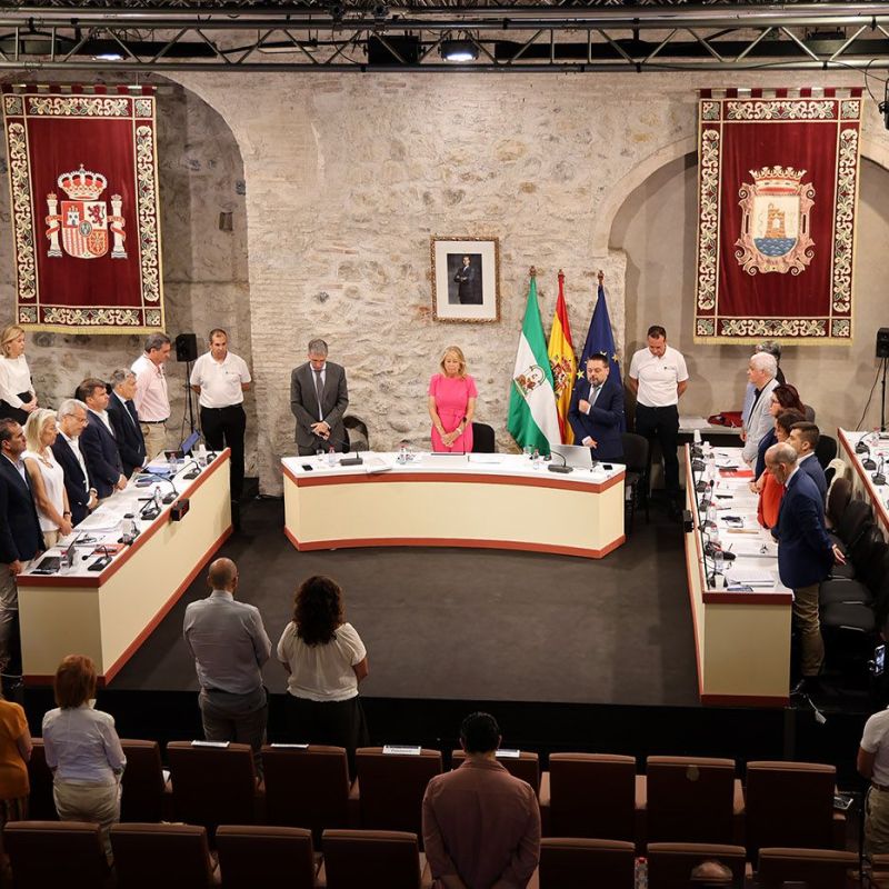 El Pleno da luz verde a una inversión de 3,2 millones para impulsar proyectos estratégicos como el estadio de atletismo de Nueva Andalucía y la ampliación del Museo del Grabado