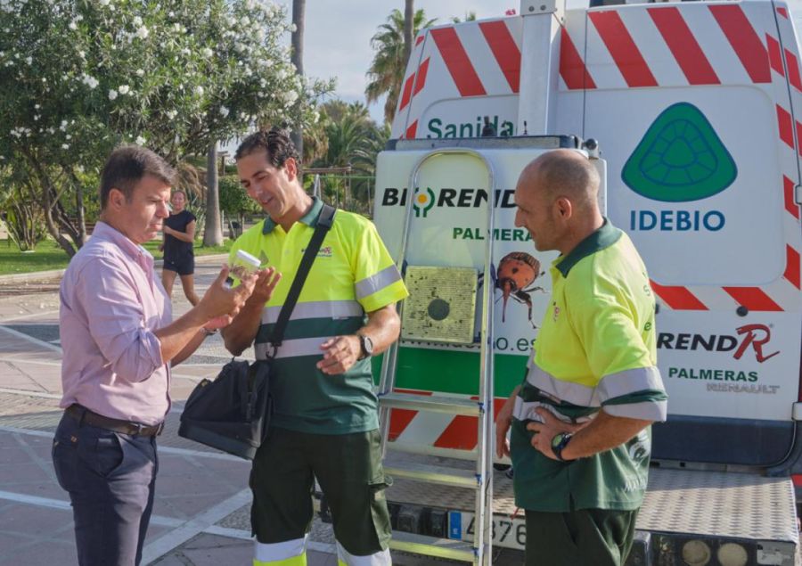 Imagen de la noticia El Ayuntamiento refuerza el control biológico de…