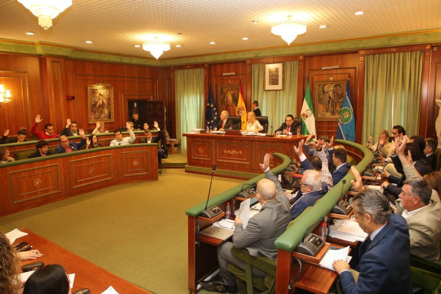 Imagen de la noticia El Pleno respalda por unanimidad iniciar los trám…