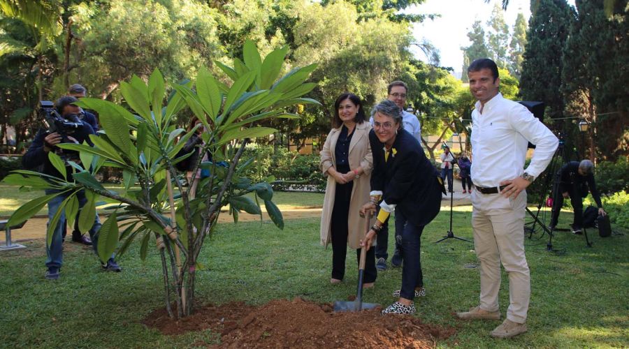 El Ayuntamiento inicia las obras de la nueva biblioteca central de Marbella, en el Parque de la Represa, con una superficie de 1.600 metros cuadrados y un concepto moderno e innovador