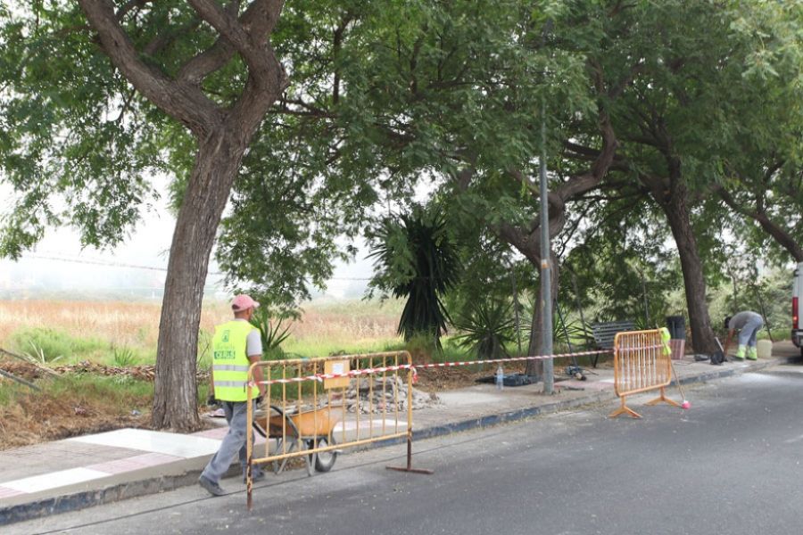 Imagen de la noticia El Ayuntamiento lleva a cabo el acondicionamiento…