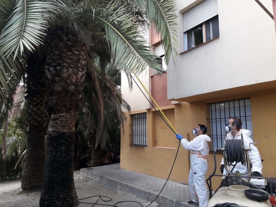 Imagen de la noticia La Tenencia de San Pedro Alcántara pone en marcha…