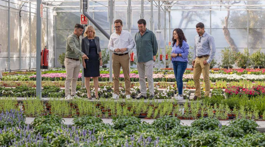 La alcaldesa destaca “la apuesta por la innovación, la sostenibilidad y el ahorro de costes” del vivero municipal de Las Chapas, que ya está en funcionamiento y producirá 600.000 plantas al año