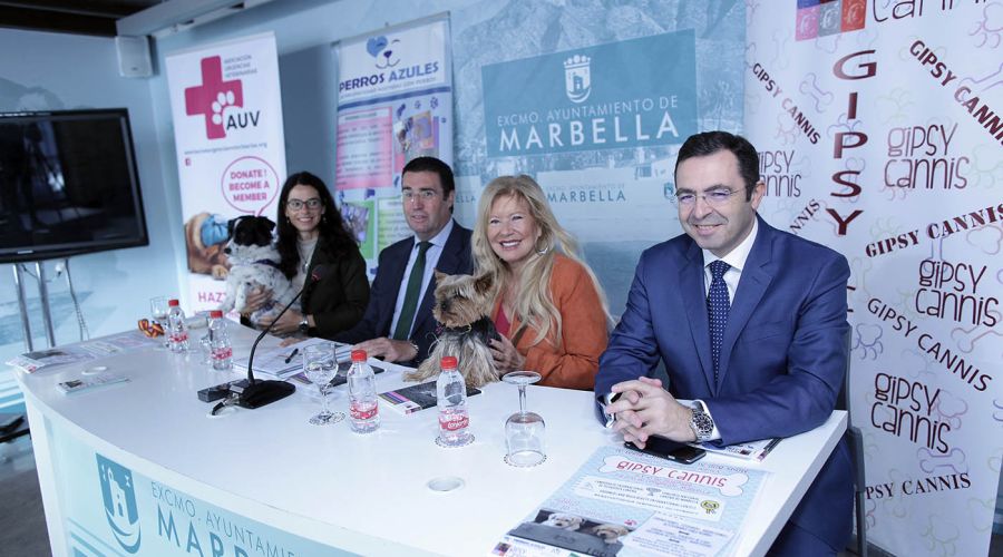 La IV Feria Canina Gipsy Cannis se celebrará por segunda vez en Marbella los días 9 y 10 de diciembre a beneficio del programa ‘Amitea’