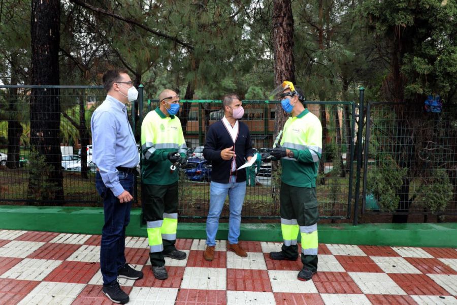 Imagen de la noticia El Ayuntamiento aplica el tratamiento contra la p…
