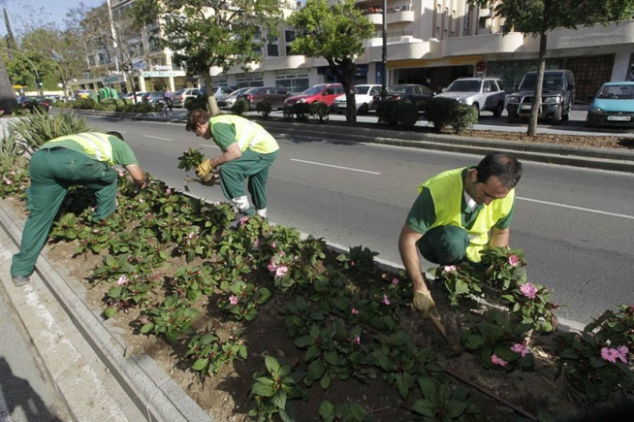 Imagen de la noticia El Ayuntamiento acomete la primera fase del Plan…