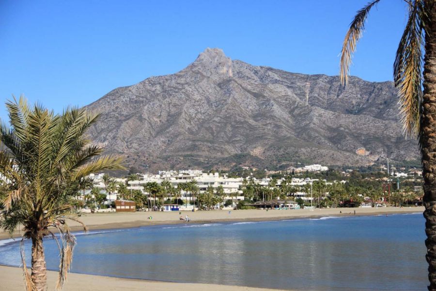 Imagen de la noticia Marbella participa por primera vez en la Feria To…