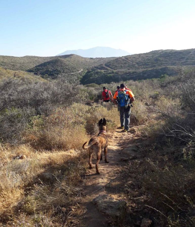 Imagen de la noticia La Unidad Canina de Protección Civil participa en…