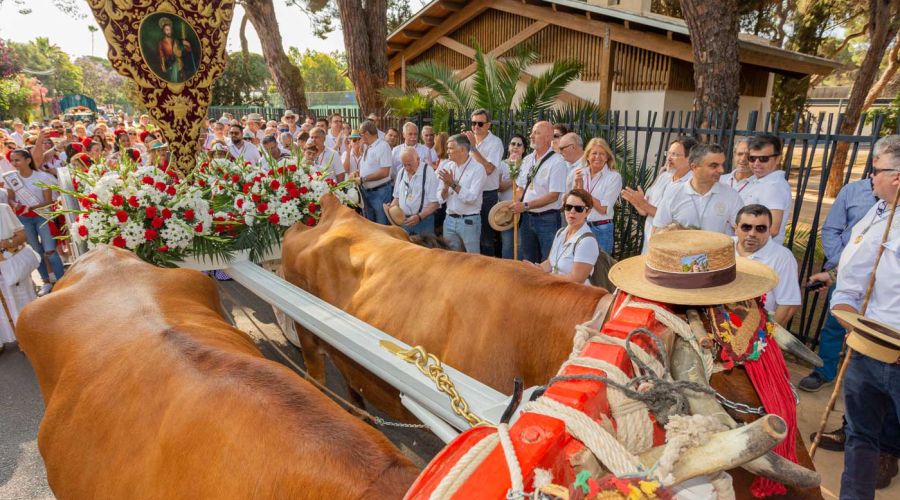 Marbella celebra la tradicional Romería de San Bernabé, acto previo a la feria que arranca el martes