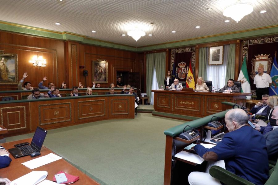 Imagen de la noticia El Pleno aprueba iniciar los trámites para la con…