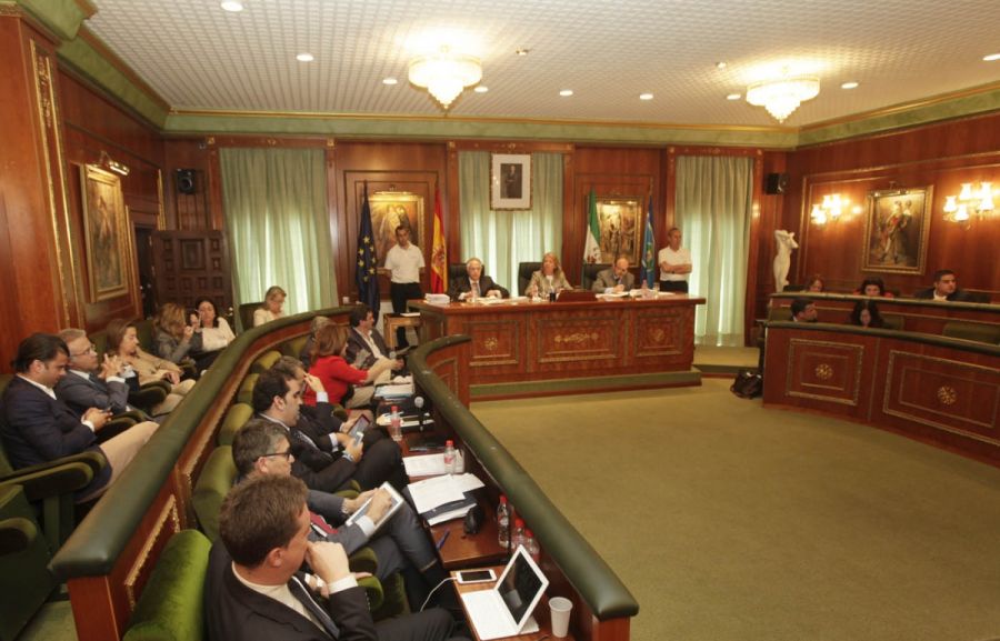 Imagen de la noticia El Pleno del Ayuntamiento insta a la Junta de And…