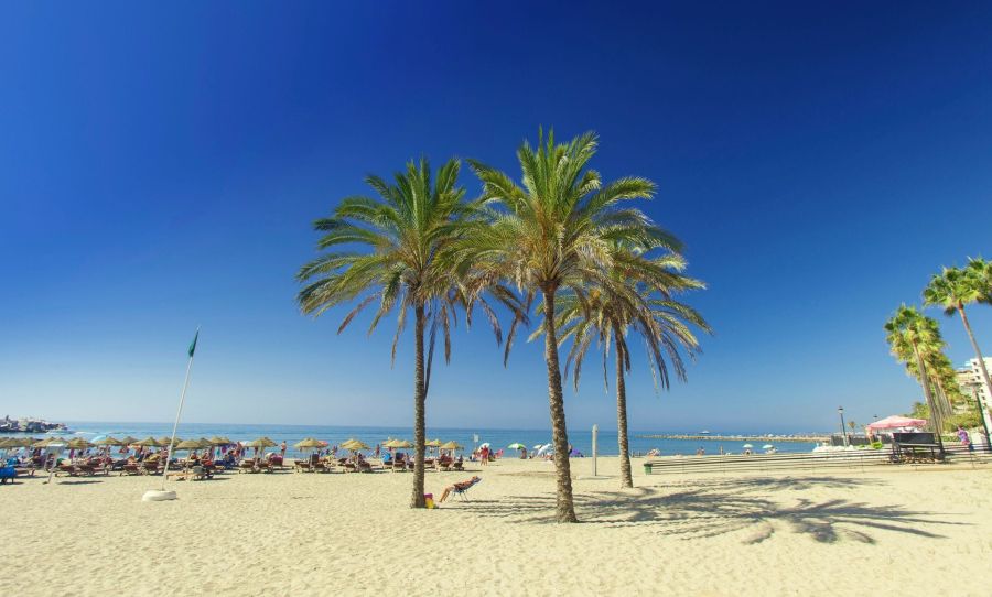 Imagen de la noticia Marbella vuelve a convertirse en el municipio and…