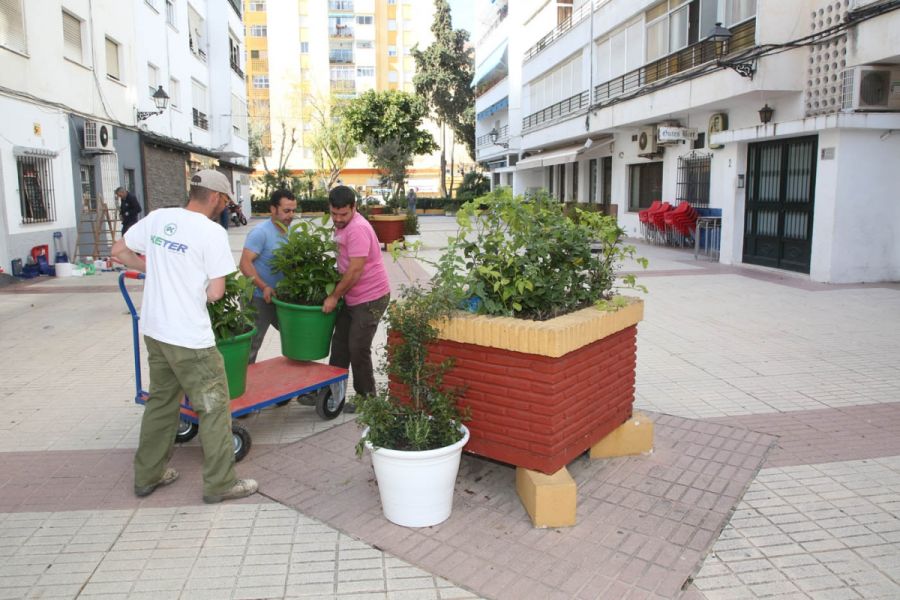 Imagen de la noticia La Tenencia de Alcaldía de San Pedro Alcántara po…