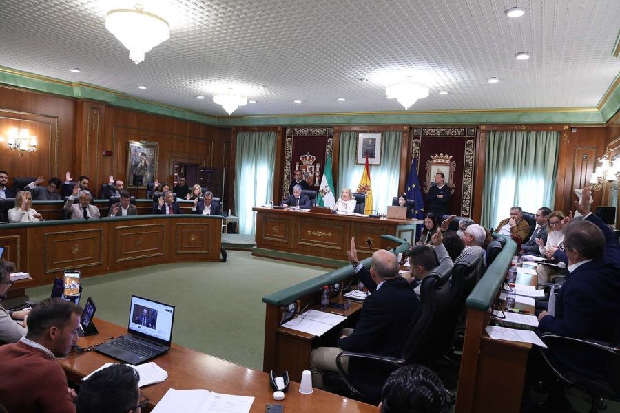 Imagen de la noticia El Ayuntamiento insta al Gobierno central a impul…